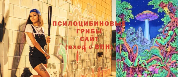 ешки Покровск
