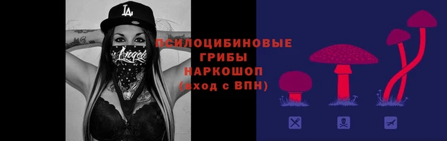 гидропоника Покачи