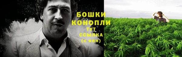 гидропоника Покачи